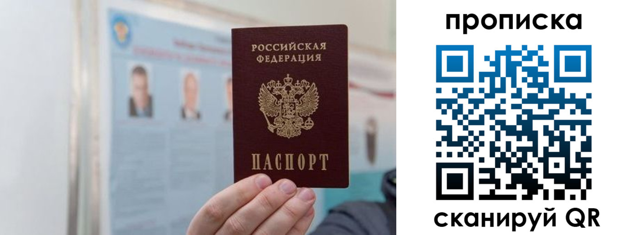 прописка 2025 в Дальнегорске